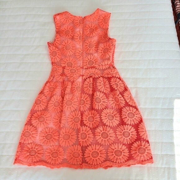 Altar'd State Orange Lace Dress with Lining sz XS - Picture 4 of 11